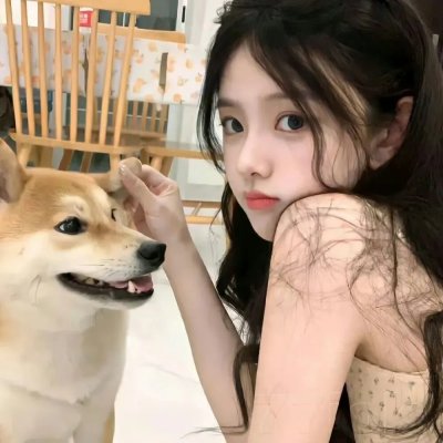 精选续看